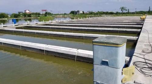 探析规模化水产养殖技术效率及其影响因素